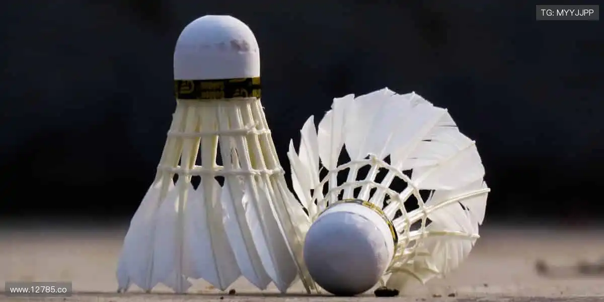 高清影院，尽享视听盛宴！🌟🎬